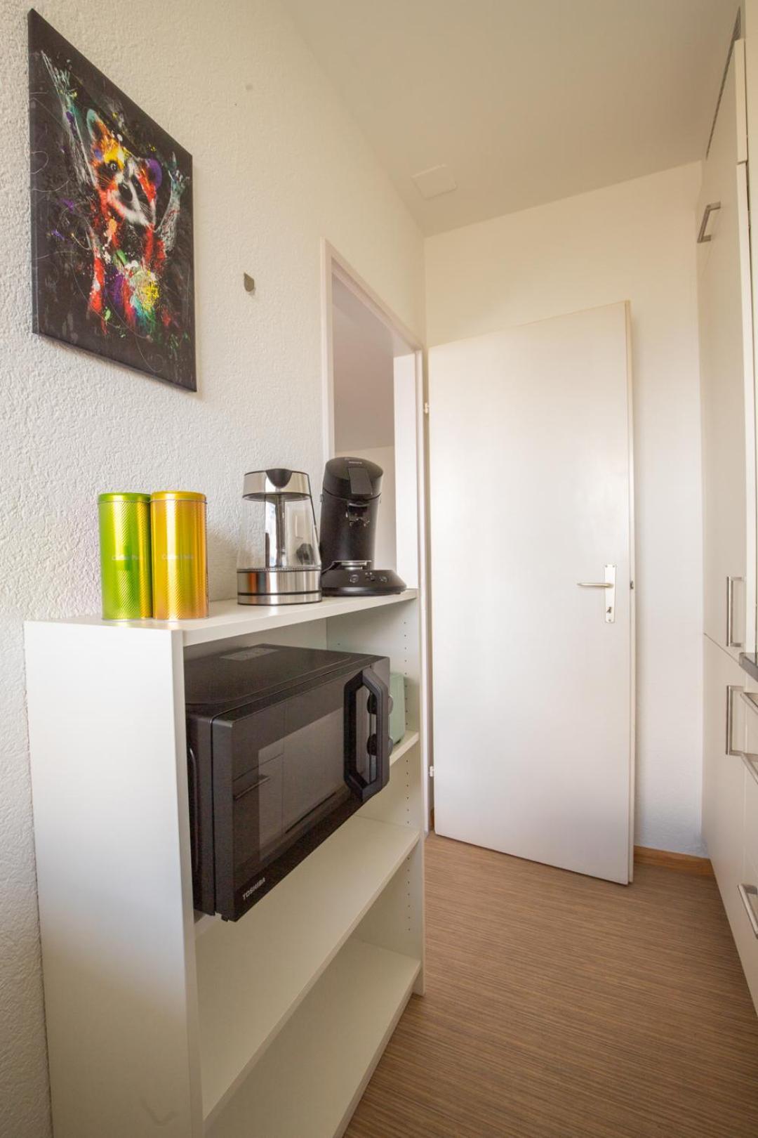 Special Blue Tiger Apartment Basel, Messe Kleinbasel 10-Star Dış mekan fotoğraf